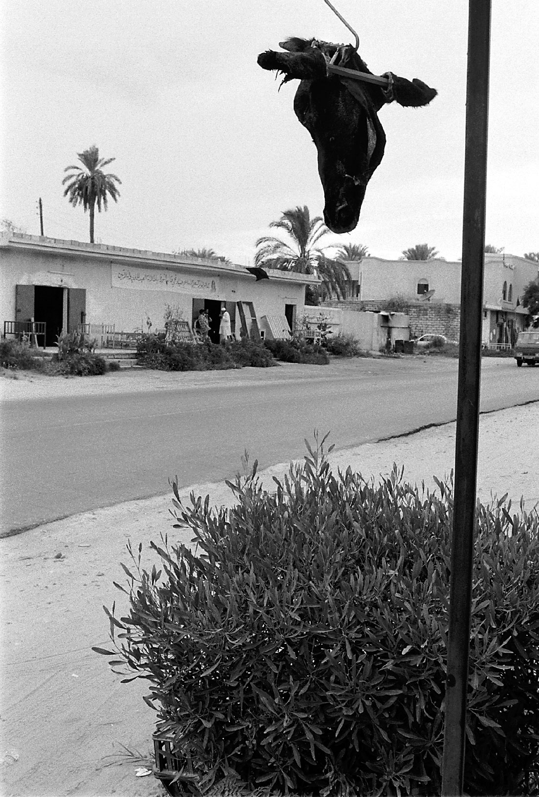 Libia, carnicería cerca de Tripoli